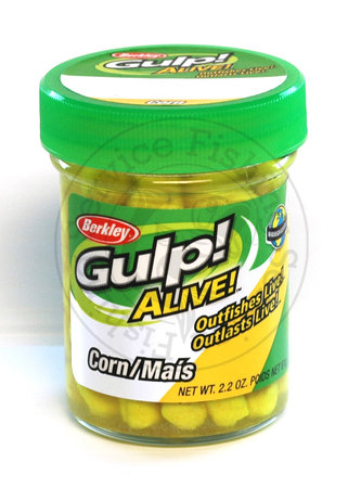 fishing-service.com | Купить оптом, в розницу Приманка Berkley Gulp! Corn Купить Приманку Berkley Gulp! Corn  в Киеве, Харькове, Днепропетровске, Одессе, Донецке, Запорожье, Львове.  Отзывы  Приманка Berkley Gulp! Corn : цена, описание, продажа 