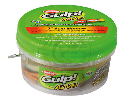 fishing-service.com | Купить оптом, в розницу Приманка Berkley Gulp! Minnow 8 Купить Приманку Berkley Gulp! Minnow 8  в Киеве, Харькове, Днепропетровске, Одессе, Донецке, Запорожье, Львове.  Отзывы  Приманка Berkley Gulp! Minnow 8 : цена, описание, продаж