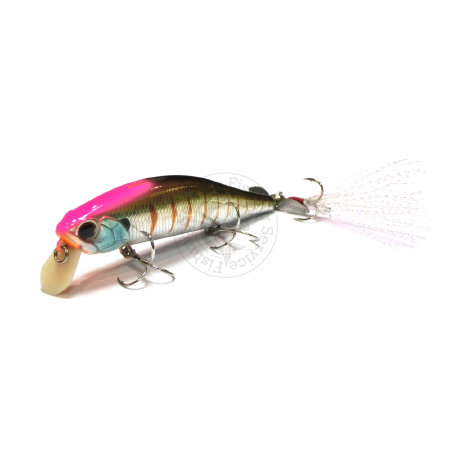 fishing-service.com | Купить оптом, в розницу Воблер EverGreen Wake Magic Купить Воблер EverGreen Wake Magic  в Киеве, Харькове, Днепропетровске, Одессе, Донецке, Запорожье, Львове.  Отзывы  Воблер EverGreen Wake Magic : цена, описание, продажа 