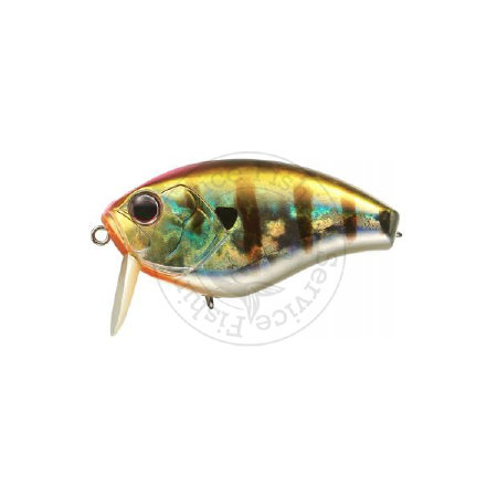 fishing-service.com | Купить оптом, в розницу Воблер EverGreen TC-60 Купить Воблер EverGreen TC-60  в Киеве, Харькове, Днепропетровске, Одессе, Донецке, Запорожье, Львове.  Отзывы  Воблер EverGreen TC-60 : цена, описание, продажа 