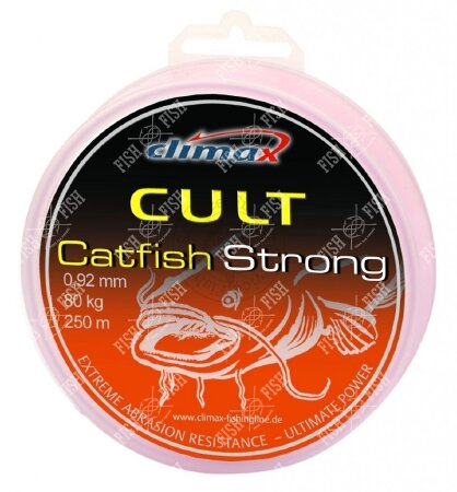 CULT Catfish Strong ― Fishing Service