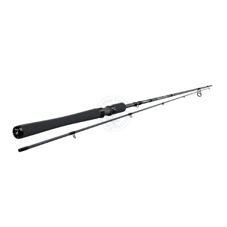 Rapid Spin ― Fishing Service